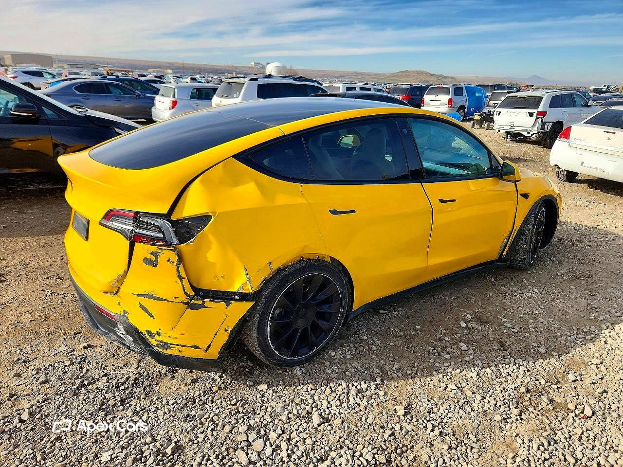 Tesla Model Y 2021