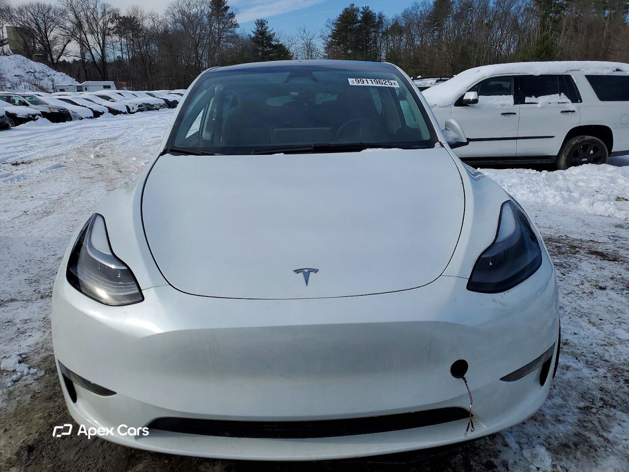Tesla Model Y 2024