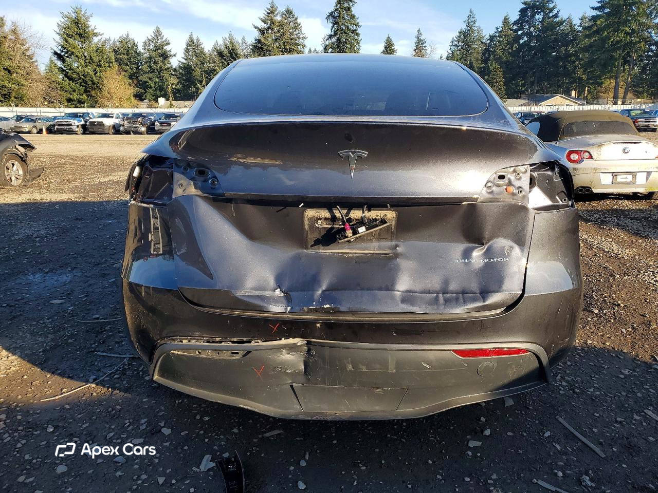 Tesla Model Y 2024