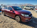 Honda Accord 2013