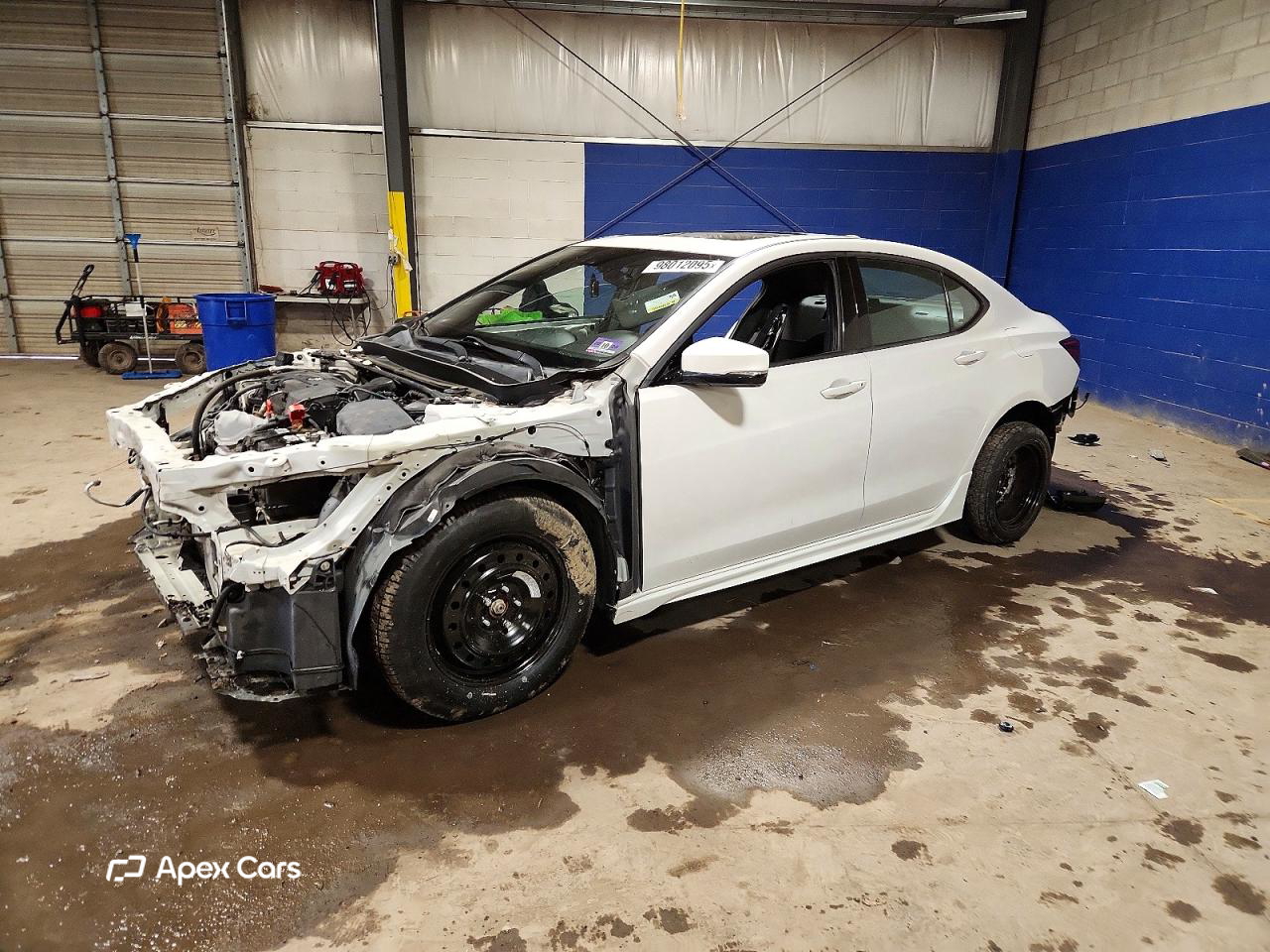 Acura TLX 2019