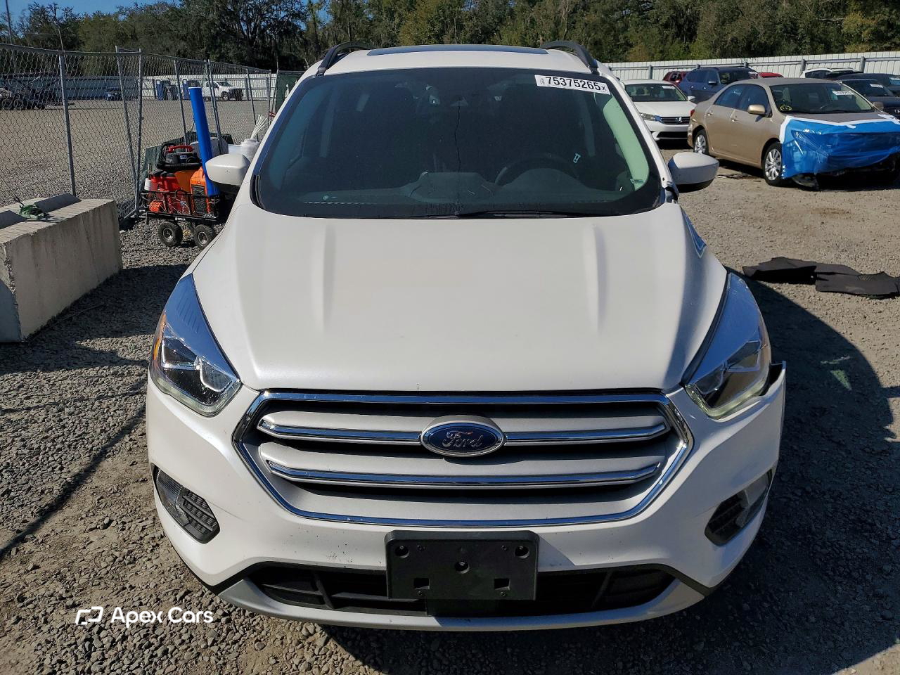 Ford Escape 2019