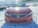 Honda Accord 2010
