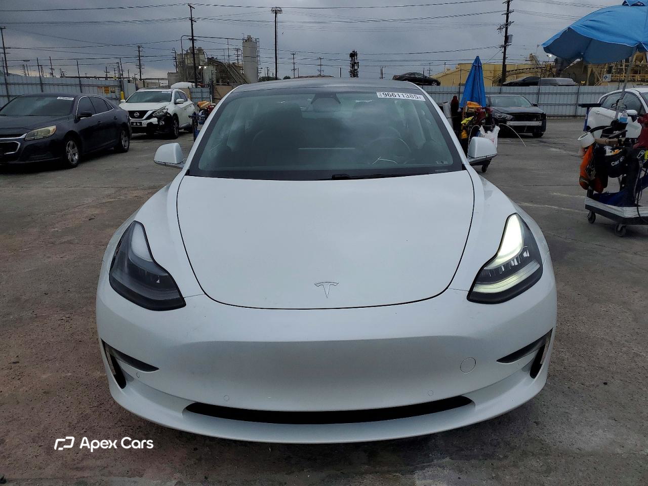 Tesla Model 3 2019