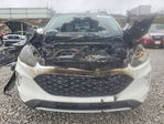 Ford Escape 2020
