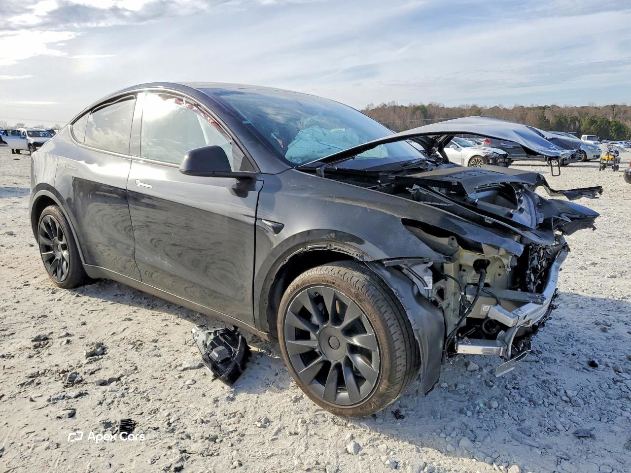 Tesla Model Y 2024
