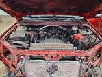 Ford Ranger 2023