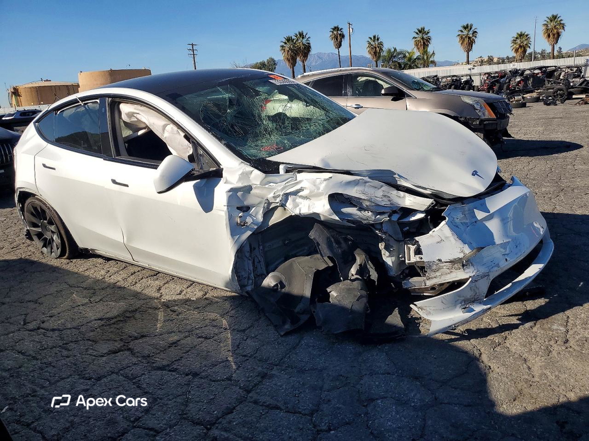 Tesla Model Y 2021
