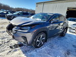 Lexus NX 2020