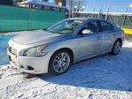 Nissan Maxima 2014