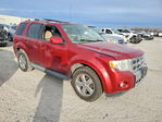Ford Escape 2012