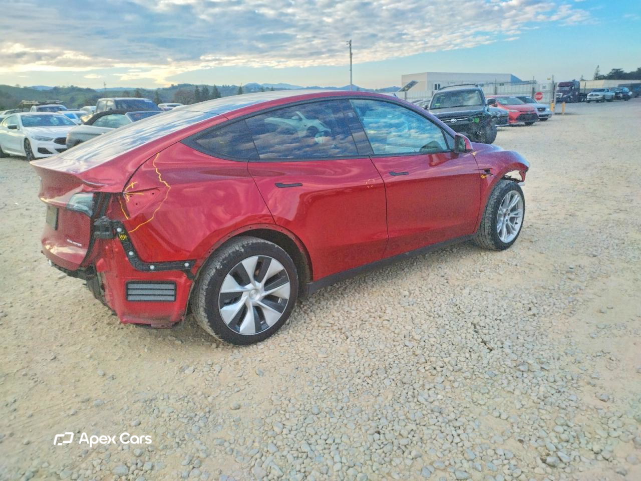 Tesla Model Y 2024