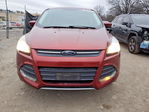 Ford Escape 2014