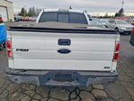 Ford F-150 2010
