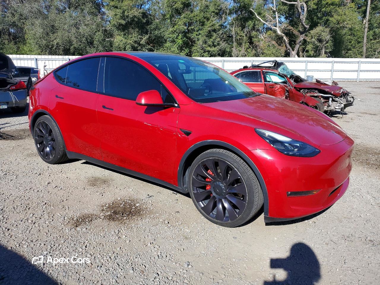 Tesla Model Y 2021