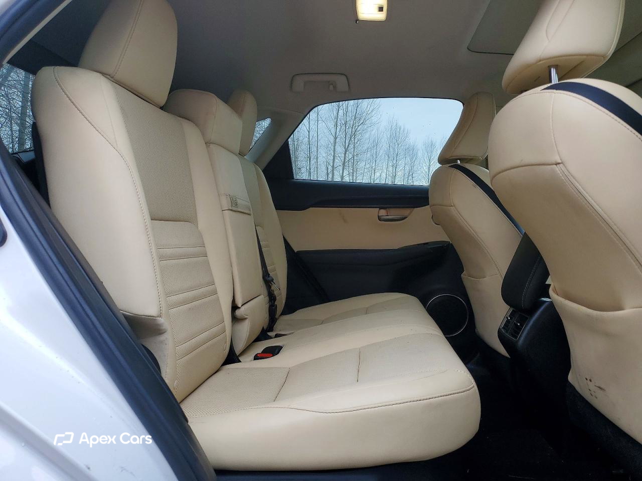 Lexus NX 2017