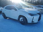Lexus UX 2025