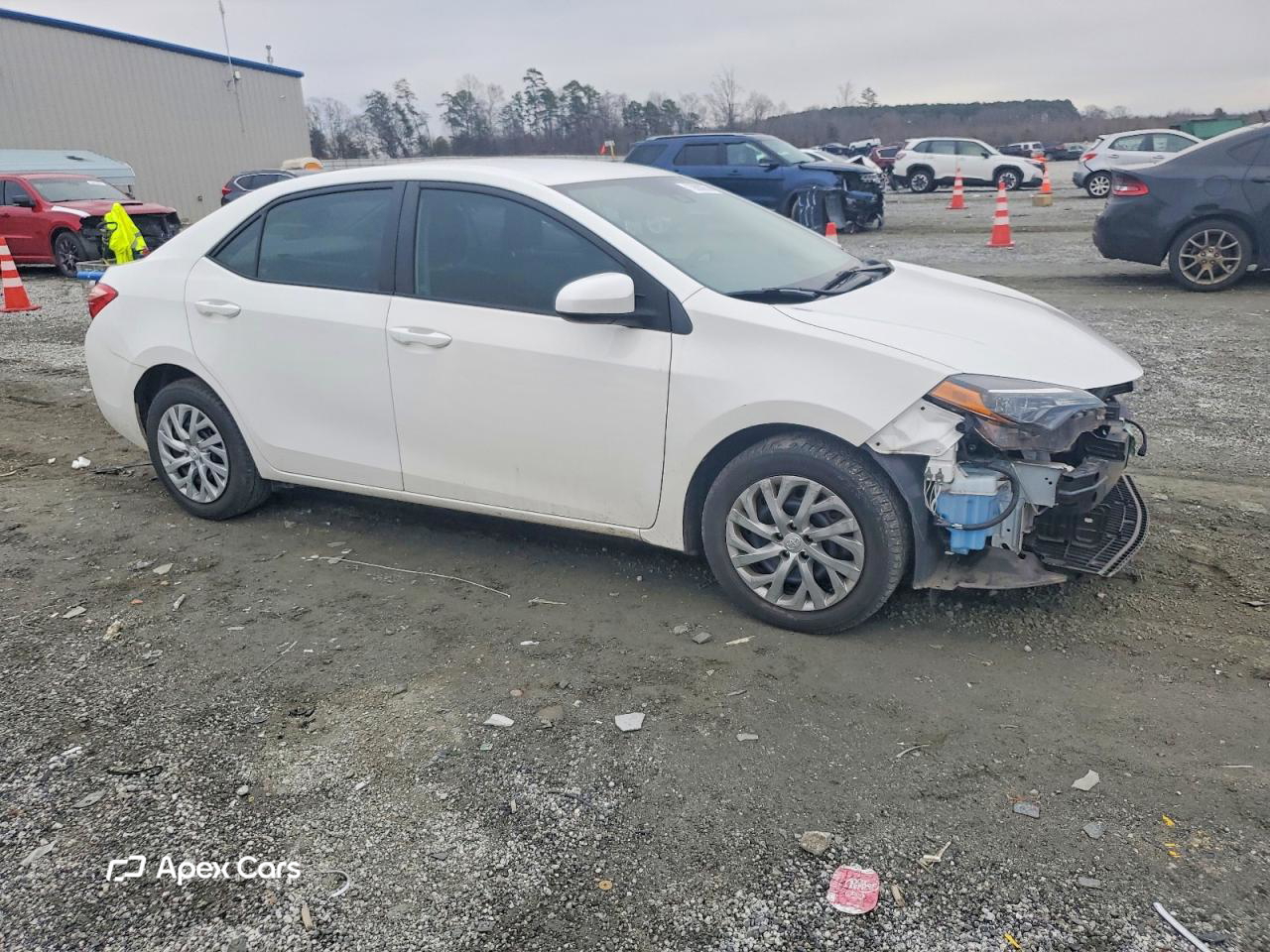 Toyota Corolla 2019
