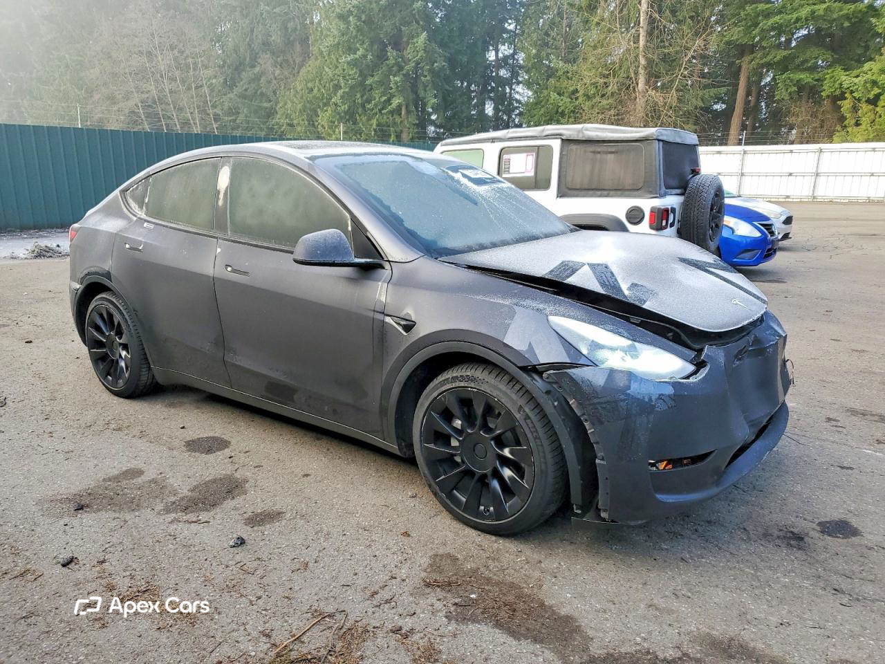 Tesla Model Y 2024