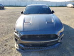 Ford Mustang 2019