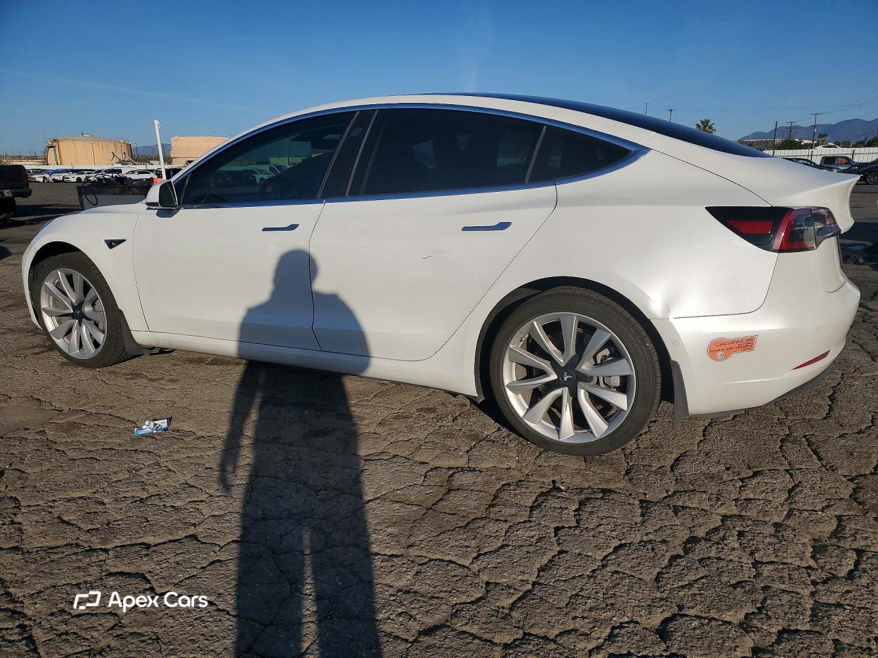 Tesla Model 3 2019