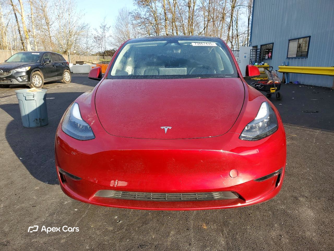 Tesla Model Y 2024