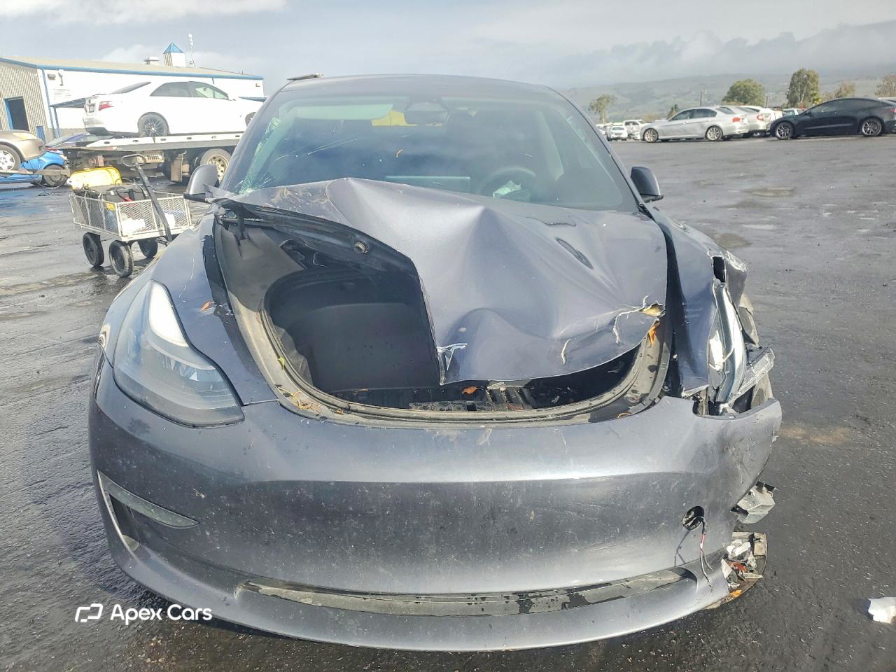 Tesla Model 3 2023