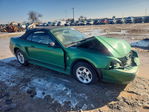 Ford Mustang 1999