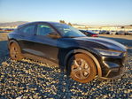 Ford Mustang 2023
