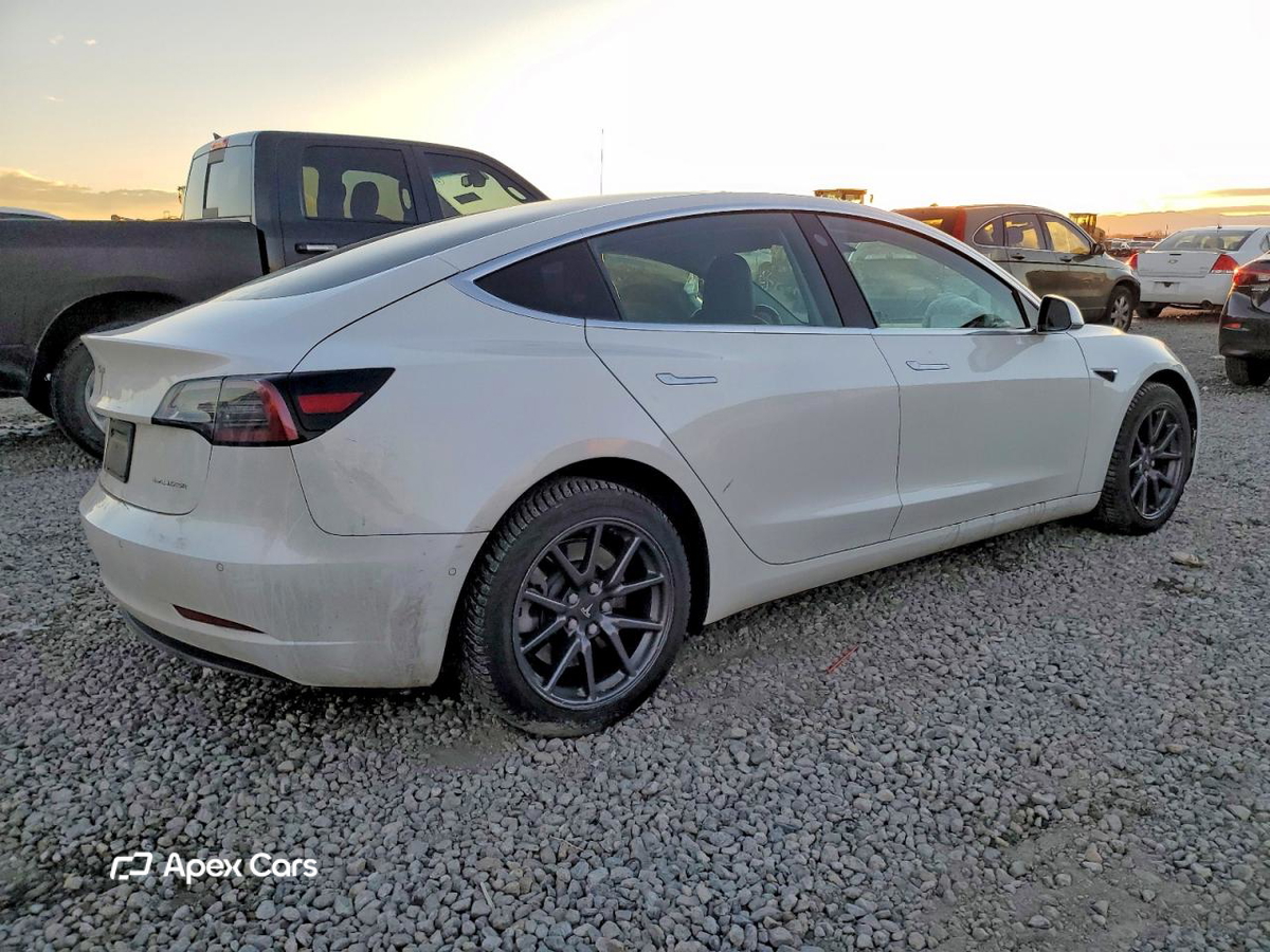 Tesla Model 3 2019