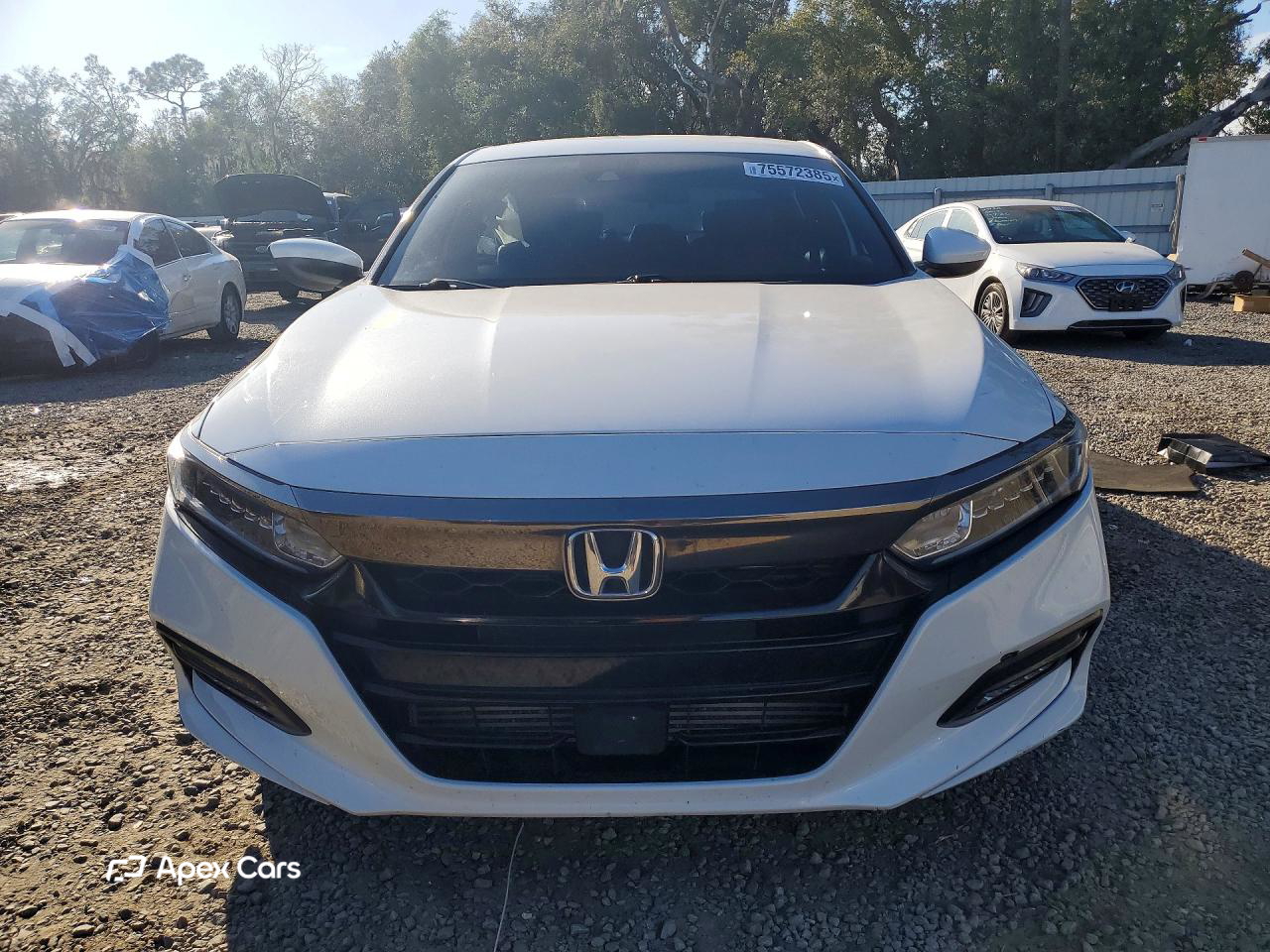Honda Accord 2019