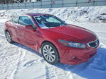 Honda Accord 2010