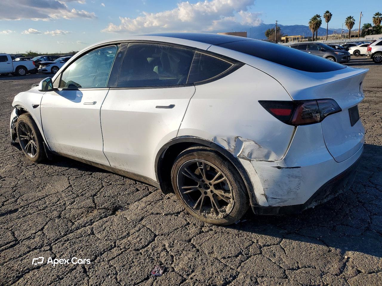Tesla Model Y 2024
