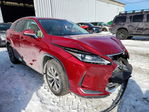 Lexus RX 2020