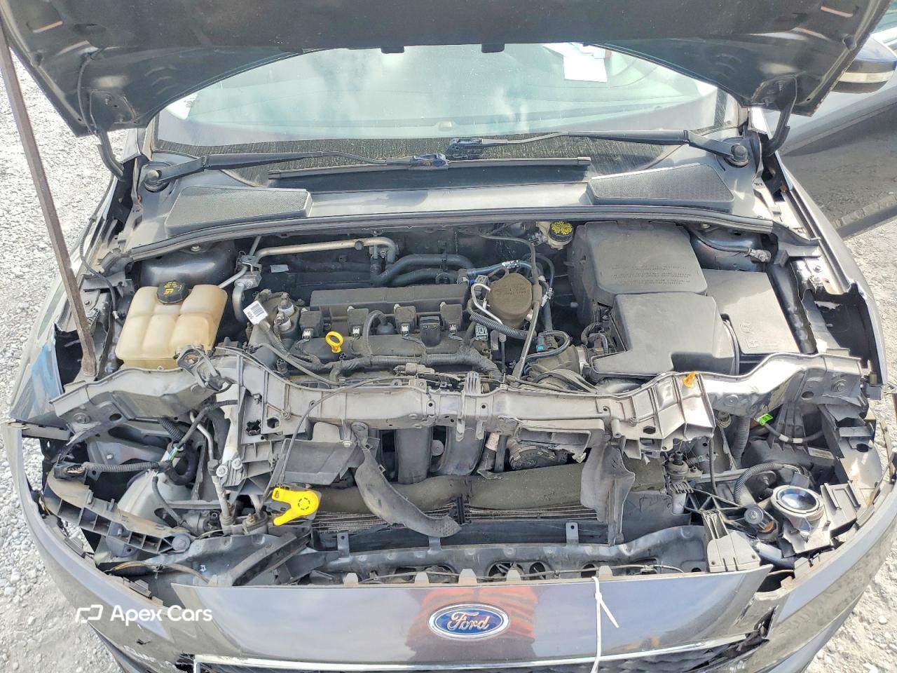 Ford Focus 2016