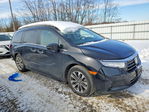 Honda Odyssey 2023
