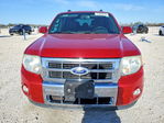Ford Escape 2010