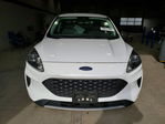 Ford Escape 2021
