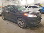 Ford Escape 2020
