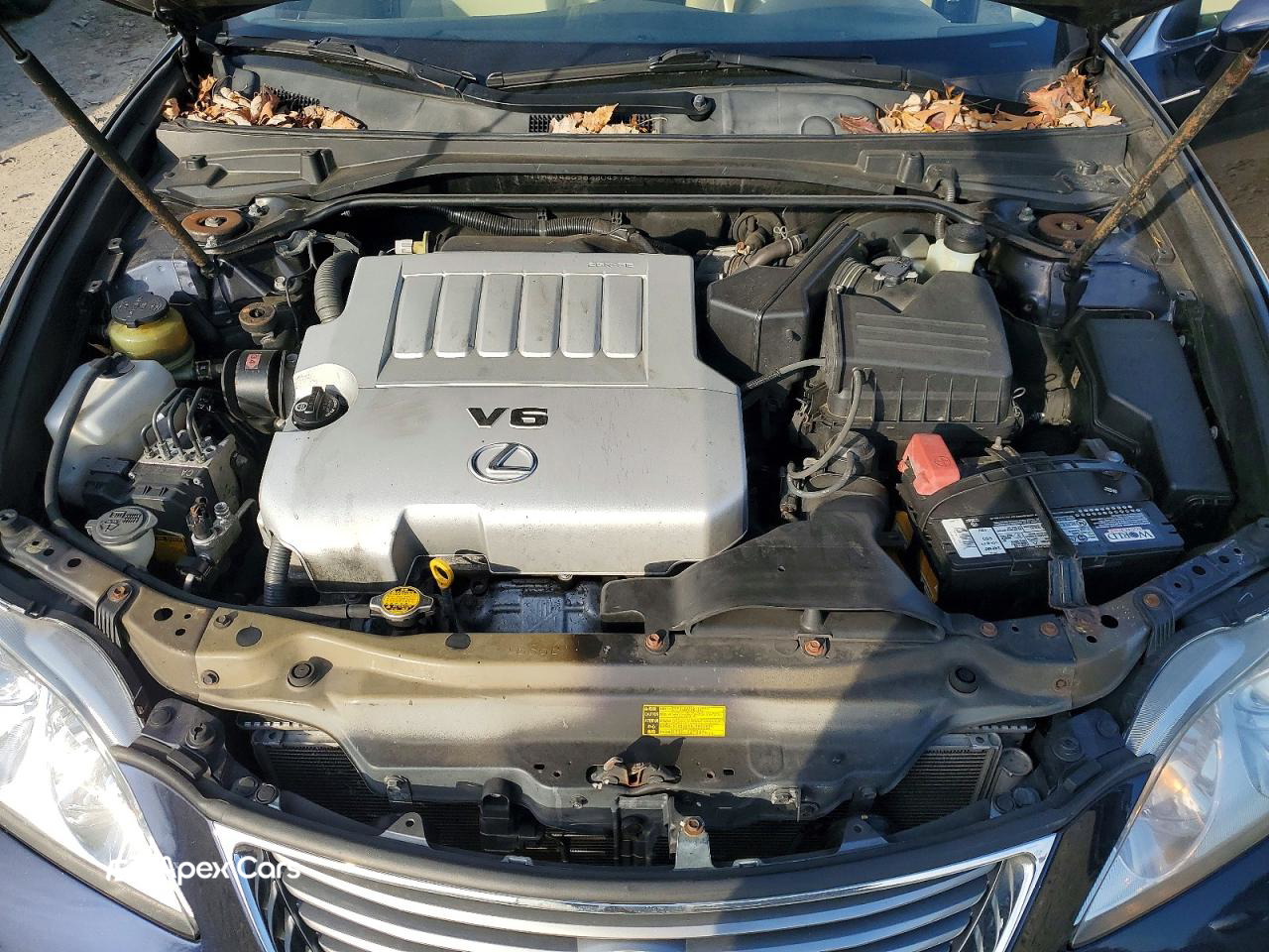 Lexus ES 2008