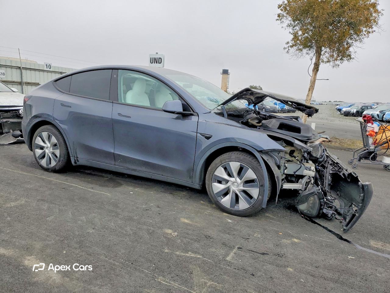 Tesla Model Y 2020