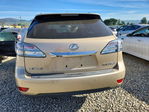 Lexus RX 2010