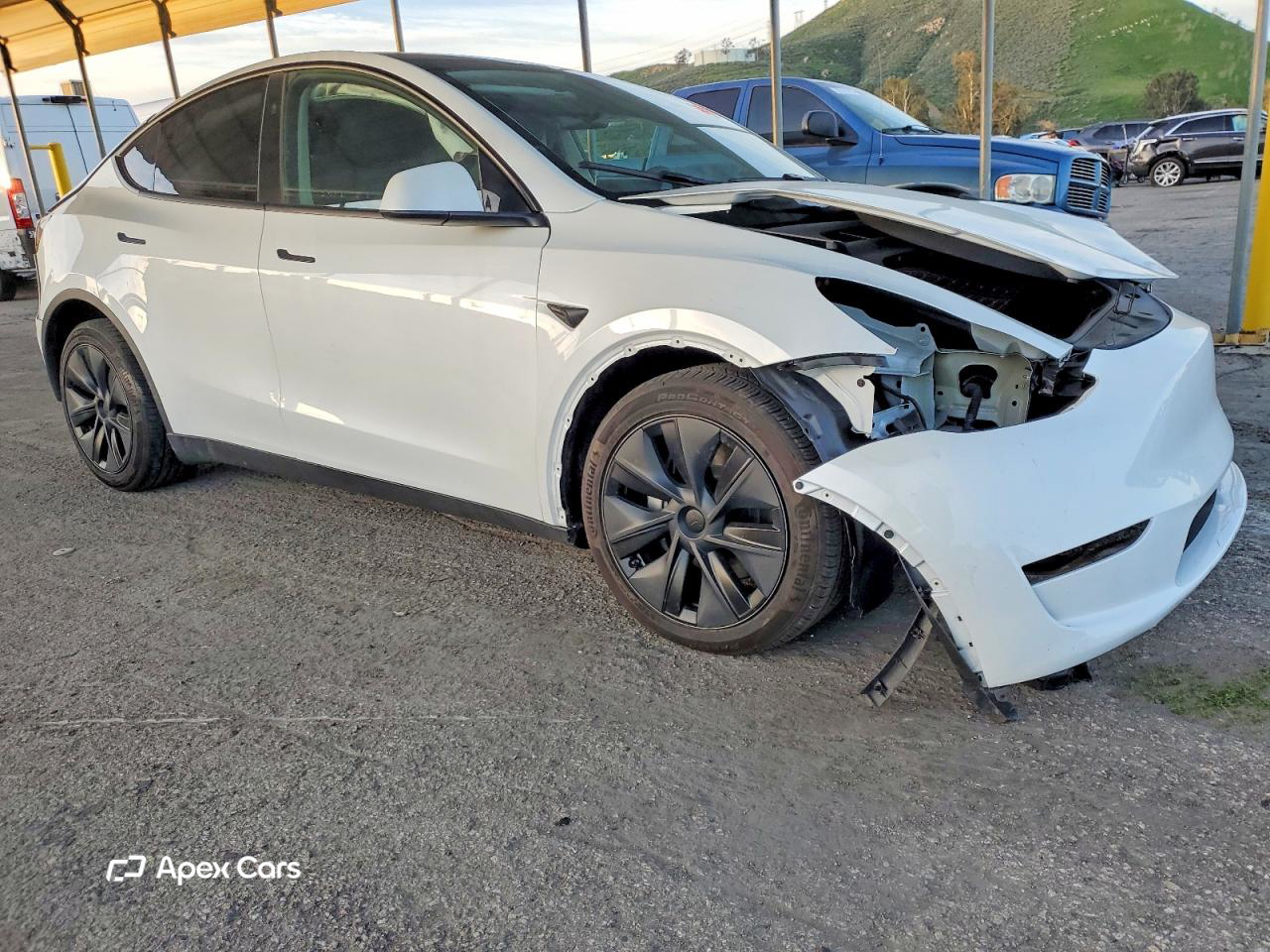Tesla Model Y 2024