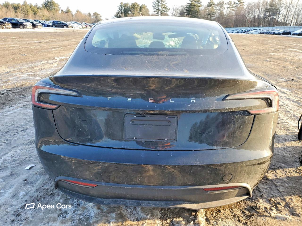 Tesla Model 3 2025