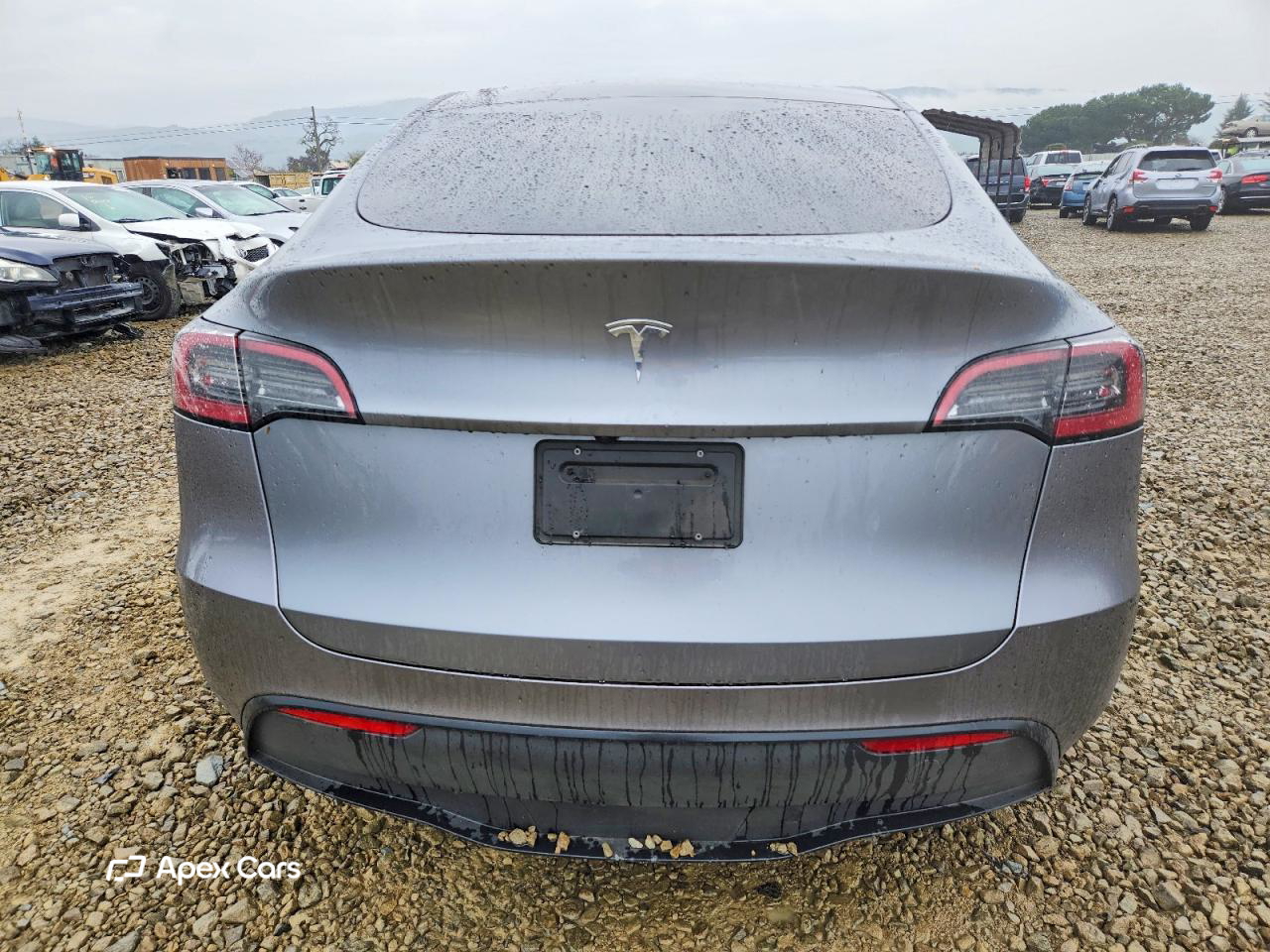 Tesla Model Y 2025
