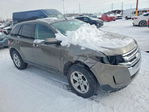 Ford Edge 2013