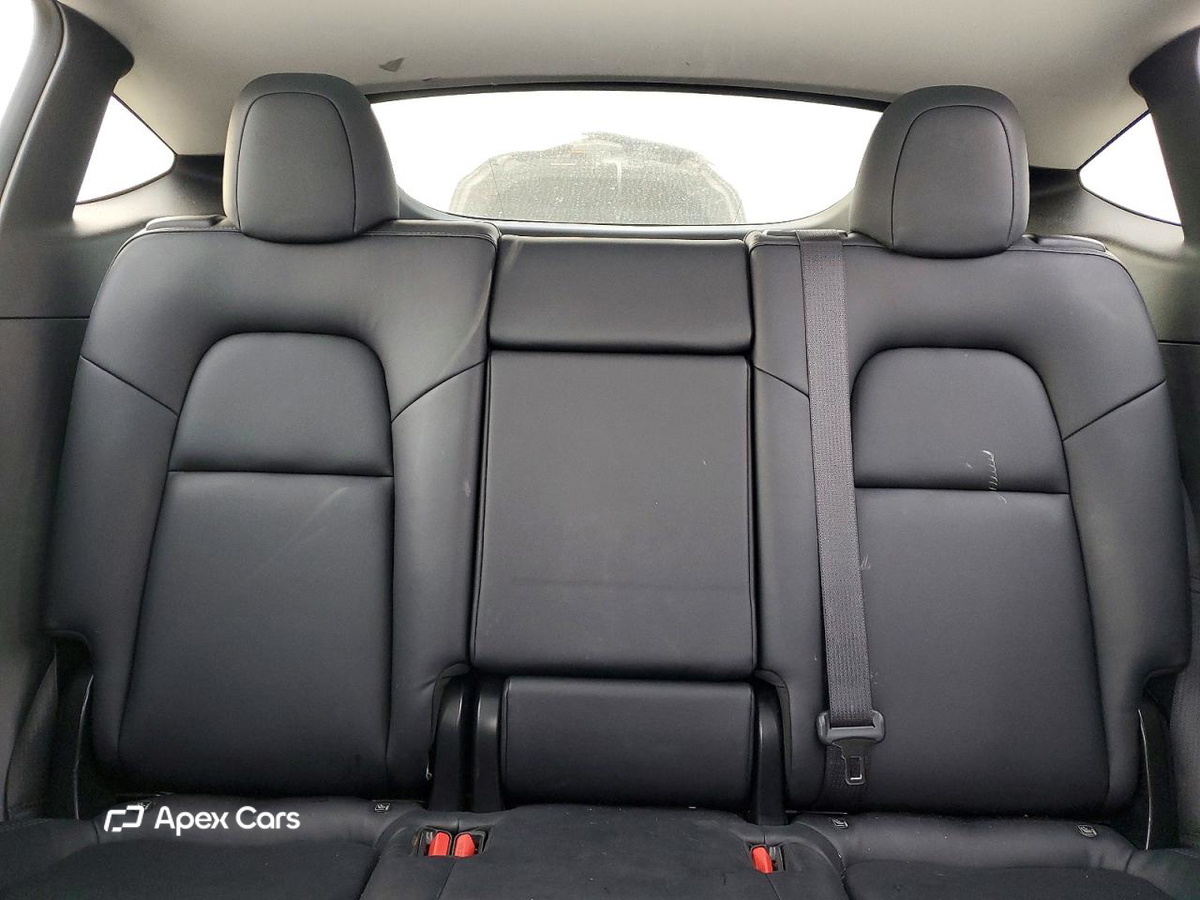 Tesla Model Y 2020
