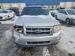 Ford Escape 2011