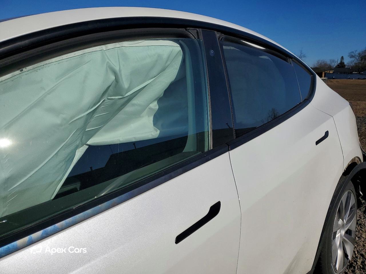 Tesla Model Y 2020