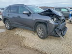 Toyota RAV 4 2024